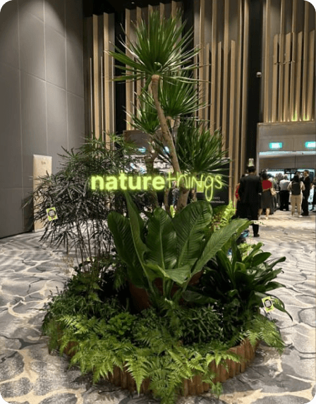 Looking to green up your spaces? We offer custom solutions with in person maintenance sessions to help you manage your greens at unbeatable prices.