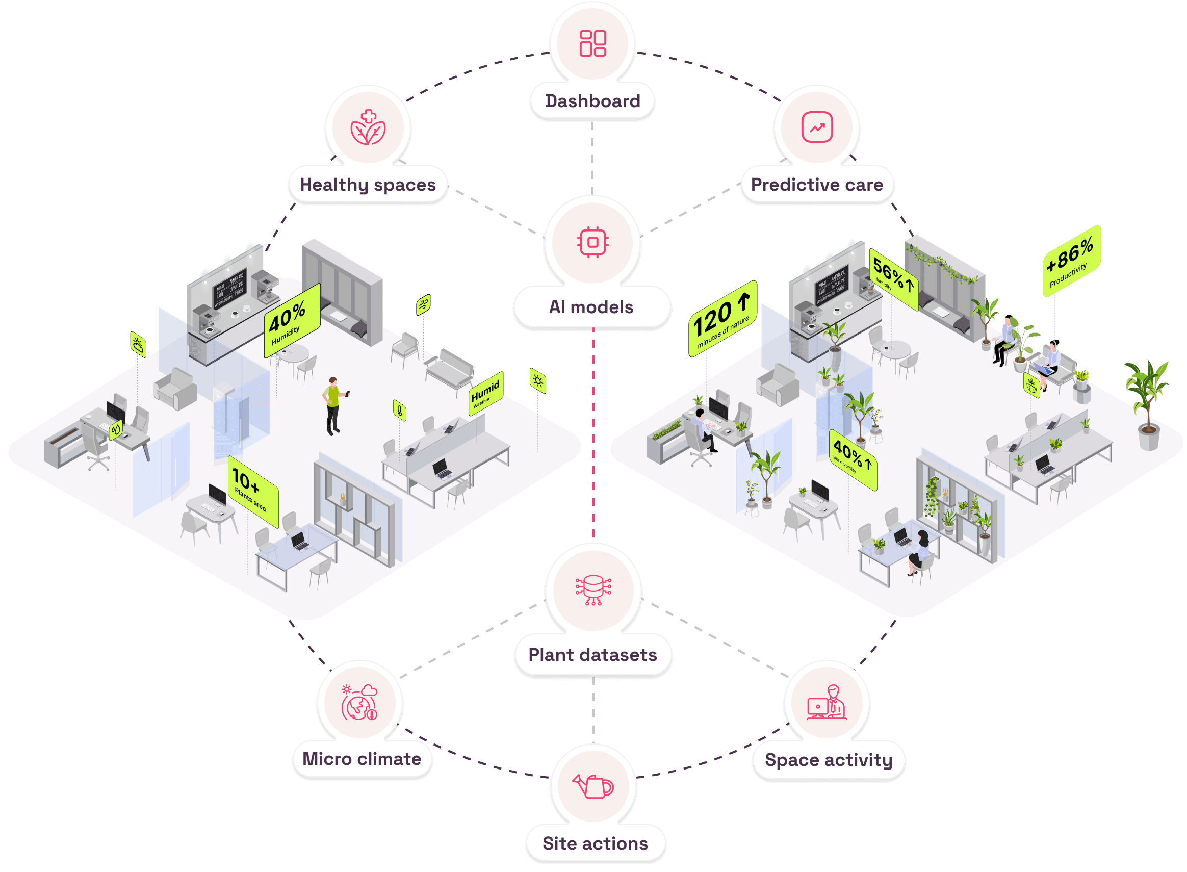 network