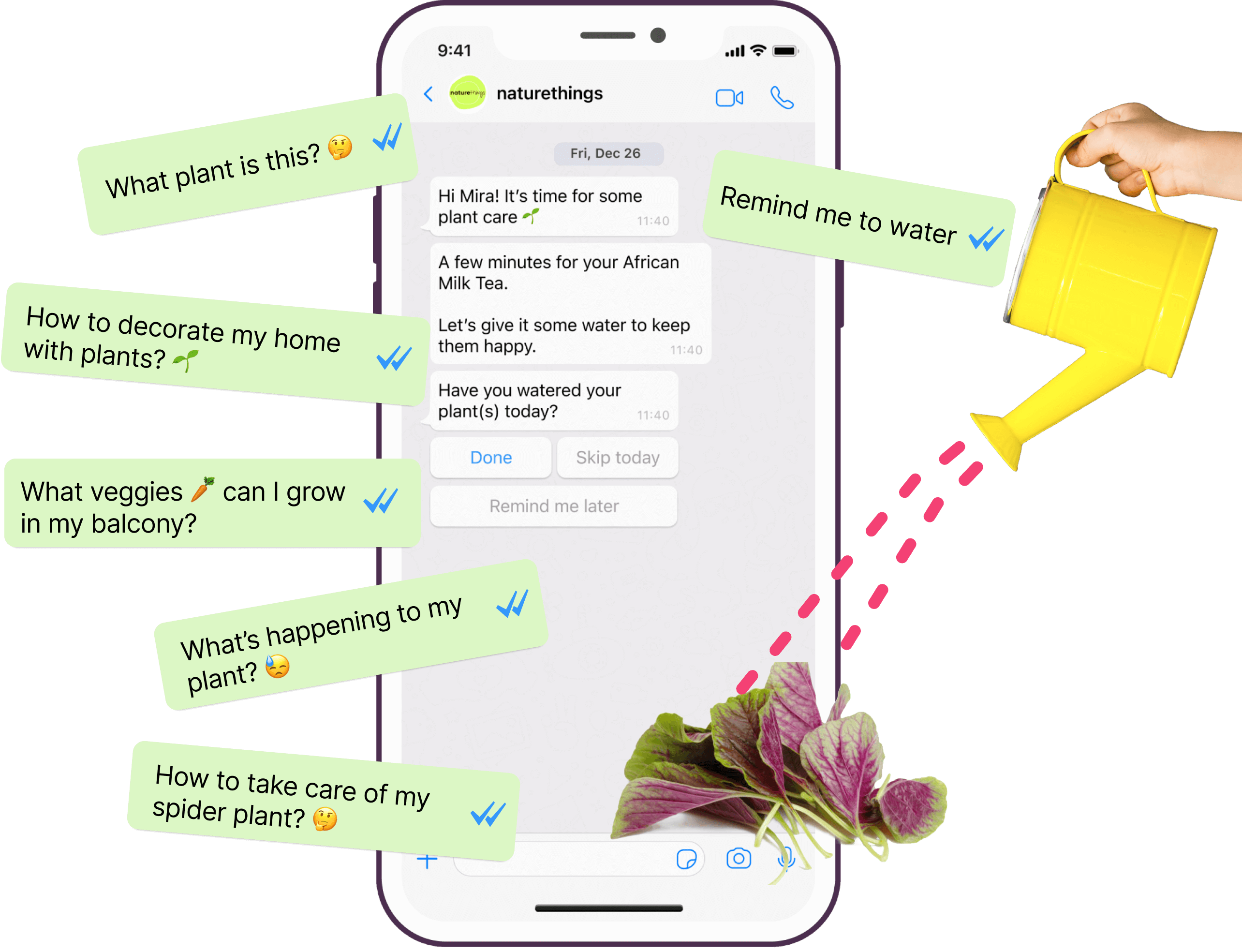 Get help with all your plant questions, timely reminders & expert tips. Discover new plants & ideas. Delivered via WhatsApp.