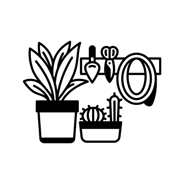Plants, pots, soil & accessories