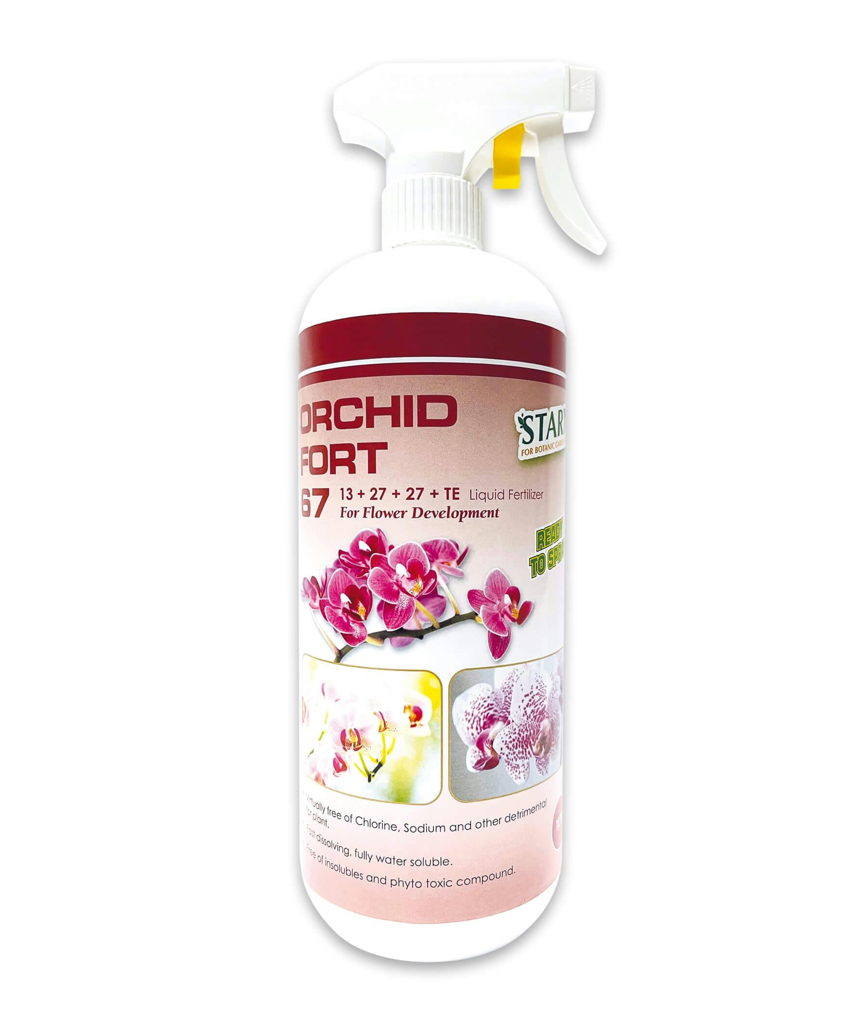 ORCHID FORT 67 (13+27+27) RTS (1L)